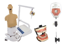 Dental Teaching Aids