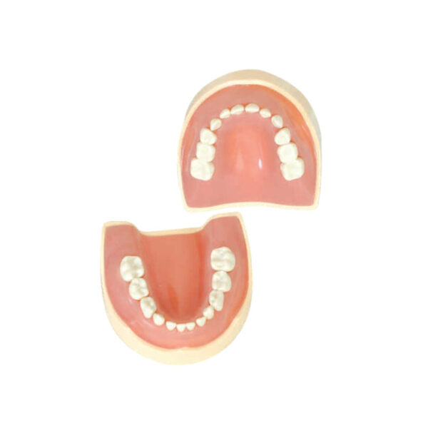 Jaw Set - Pedo