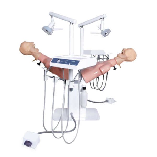 Phantom Head Simulator Unit with Dual Head