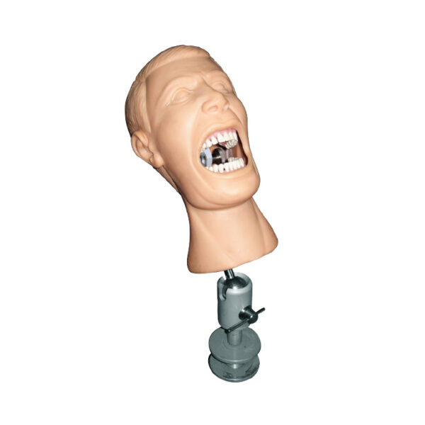 Phantom Head - Table Model (Rubber Mask)